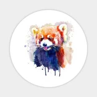 Red Panda Portrait Magnet